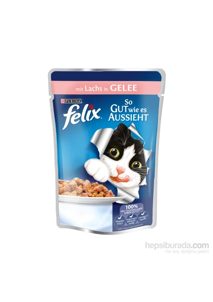 Agail Somonlu Kedi Pouch 100Gr