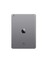 iPad Mini Retina 32GB 7.9" Wi-Fi Uzay Grisi Tablet ME277TU/A 4