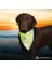 Köpek Bandanası 42-60cm (LXL) 2