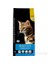 Tavuklu Pirinçli Kuru 10 Kg Kedi Maması 1