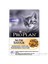 Junior Cat Yavru Tavuklu Kedi Yaş Maması 85 Gr 1