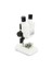 44207 S20 Stereo Mikroskop 2