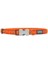 Reddingo Bone Yard Desenli Kahverengi Köpek Boyun Tasması 12 Mm 1