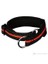Köpek Boyun Tasma M 40-46Cm / 30Mm 1