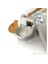 CatGenie 120 Plus Otomatik Kedi Tuvaleti 3