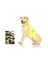 12001 Pawise Safety Vest Köpek Yeleği S 1