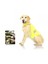 12002 Pawise Safety Vest Köpek Yeleği M 1