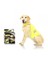 12003 Pawise Safety Vest Köpek Yeleği L 1