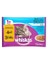 kedi yaş  pouch Multipack Balık 100 Gr 4 Al 3 Öde 1