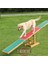 Agility Köpek Eğitim Tahtıravallisi 300x54x34 Cm 1