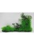 3420 Plastik Akvaryum Bitkisi 20 Cm. 1