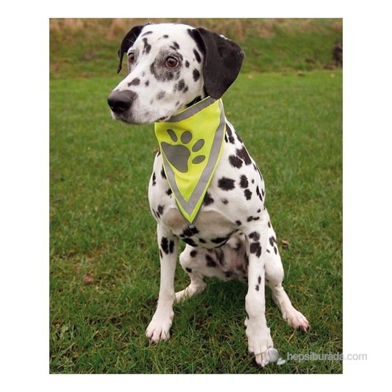 Köpek Bandanası Fosforlu Pati Desenli Large X Large 42x60 Fiyatı