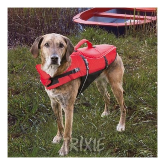Köpek Can Yeleği 54 Cm L Fiyatı, Taksit Seçenekleri ile Satın Al