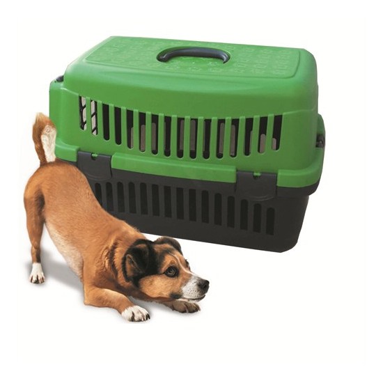 köpek taşıma kangurusu