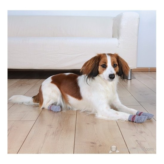 Trixie Köpek Çorabı M-L ( Golden Retriever )