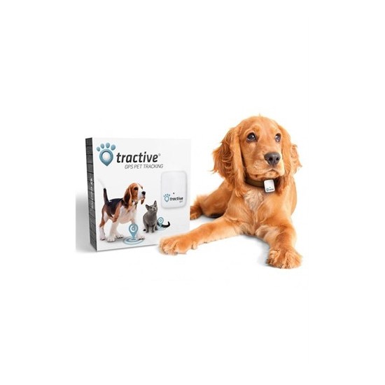 Tractive Kedi Köpek Takip Cihazı Fiyatı Taksit Seçenekleri