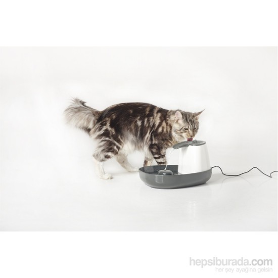 Cascade Kedi ve Köpek İçin Su Pınarı Elektrikli kk Fiyatı