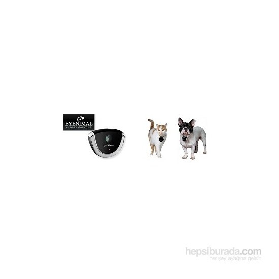 Eyenimal Petcam Kedi Ve Köpek Sesli Boyun Kamerası Fiyatı