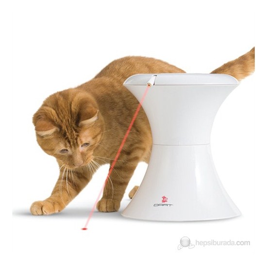 Froli Cat Dart Interactive Kedi Köpek Oyuncak (Lazer) Fiyatı