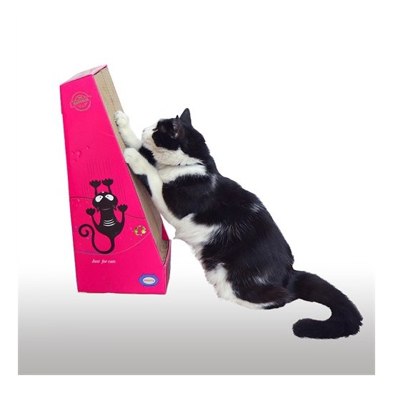 Trend Store Kedi Tırmalama Kartonu Kedi Otu Hediyeli Fiyatı