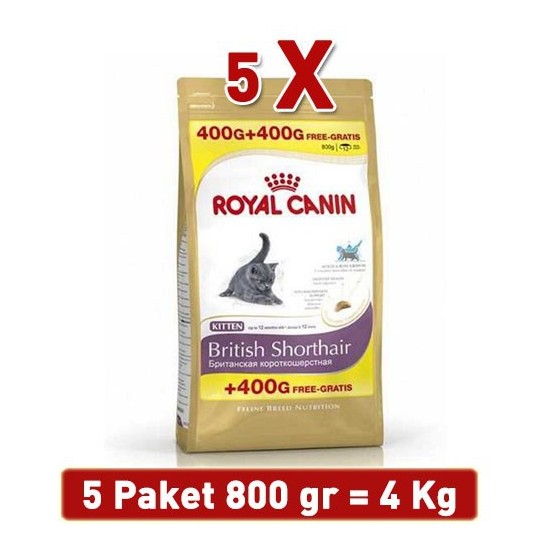 Royal Canin Kitten British Shorthair Yavru Kedi Maması 4 Kg Fiyatı