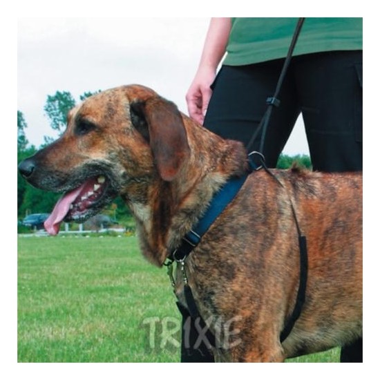 Trixie Köpek Yürüme Eğitim Tasması L4565Cm 25Mm Fiyatı