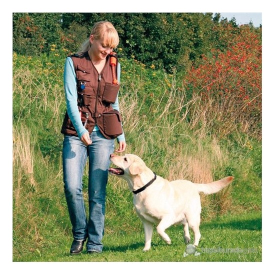 köpek ağırlık yeleği