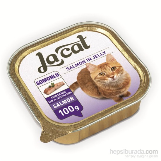 La Cat Pate Somon Balıklı Kedi Konservesi 100Gr gk Fiyatı