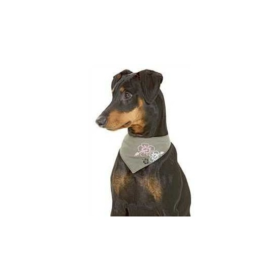 Karlie Köpek Bandanası Kahverengi Hibicus Desenli 5065Cm Fiyatı