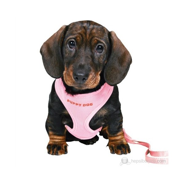 Trixie yavru köpek göğ.tasma&amp;kyış,2334cm/2m/10mm Fiyatları