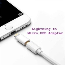 I-Stone Lightning Micro USB Çevirici Aparat Silver