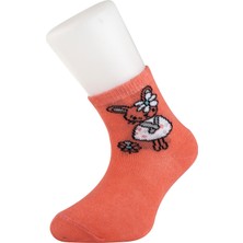 Moyra Socks 4'lü Desenli Soket Bebek Çorabı