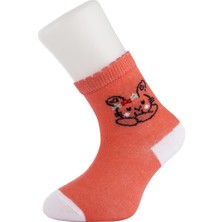 Moyra Socks 4'lü Desenli Unisex Bebek Çorabı