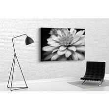 Tablo 360 Nilüfer Kanvas Tablo