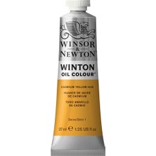 Winsor & Newton Winton Yağlı Boya 37 ml N:109 Cadmium Yellow Hue