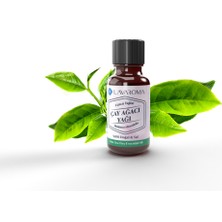 Lavaroma Çay Ağacı Yağı 10ML