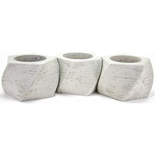 Taş Rüyası Beton Sukulent Saksı 3'lü Set ( Çiçek Dahil)
