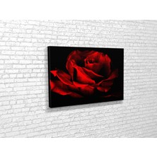 Tablo 360 Kızıl Gül Kanvas Tablo