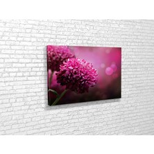 Tablo 360 Yıldız Çiceği Kanvas Tablo