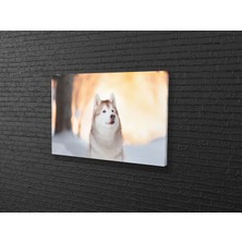 Tablo 360 Kurt Kanvas Tablo