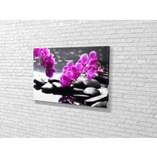 Tablo 360 Orkideler Kanvas Tablo