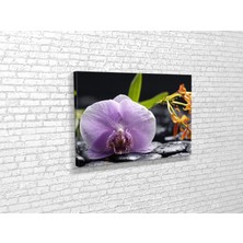 Tablo 360 Orkideler Kanvas Tablo