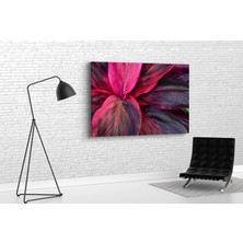 Tablo 360 Tropikal Bitkiler Kanvas Tablo