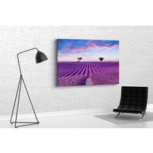 Tablo 360 Lavanta Tarlası Kanvas Tablo