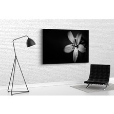 Tablo 360 Siyah Beyaz Çicek Kanvas Tablo