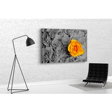 Tablo 360 Güller Kanvas Tablo