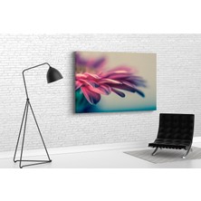Tablo 360 Gerbera Çiceği Kanvas Tablo