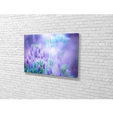 Tablo 360 Kır Çicekleri Kanvas Tablo