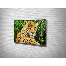 Tablo 360 Leopar Kanvas Tablo