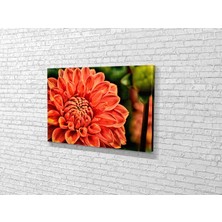 Tablo 360 Yıldız Çiceği Kanvas Tablo